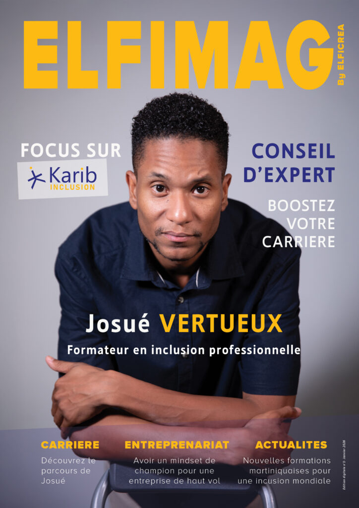 ELFIMAG-724x1024 Offres ELFICREA | Design Sensé - Bien Vu et Bien Plus